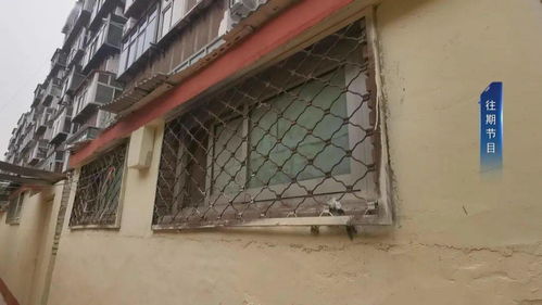 問政提前探 石棉制品廠宿舍自建小院阻礙施工，設計單位無奈應對